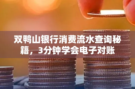 双鸭山银行消费流水查询秘籍，3分钟学会电子对账