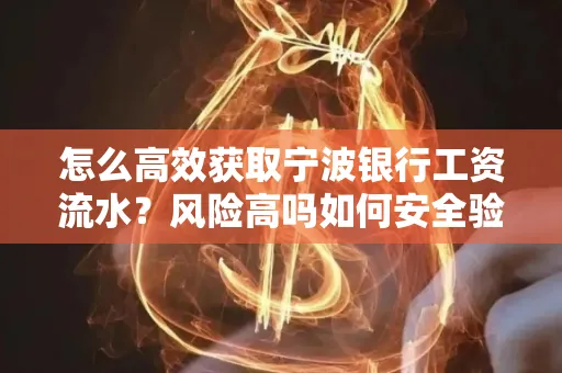 怎么高效获取宁波银行工资流水？风险高吗如何安全验证？