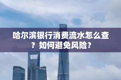 哈尔滨银行消费流水怎么查？如何避免风险？