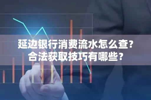 延边银行消费流水怎么查？合法获取技巧有哪些？