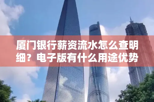 厦门银行薪资流水怎么查明细？电子版有什么用途优势